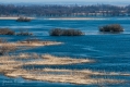 049_Biebrza - kwiecien 2011